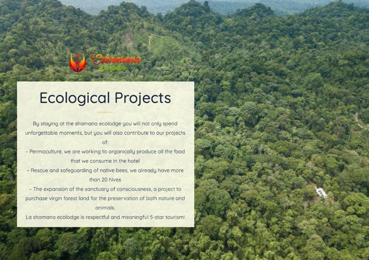 La Shamana - Ecological Concept In Jungle Villa Cahuita Exteriör bild