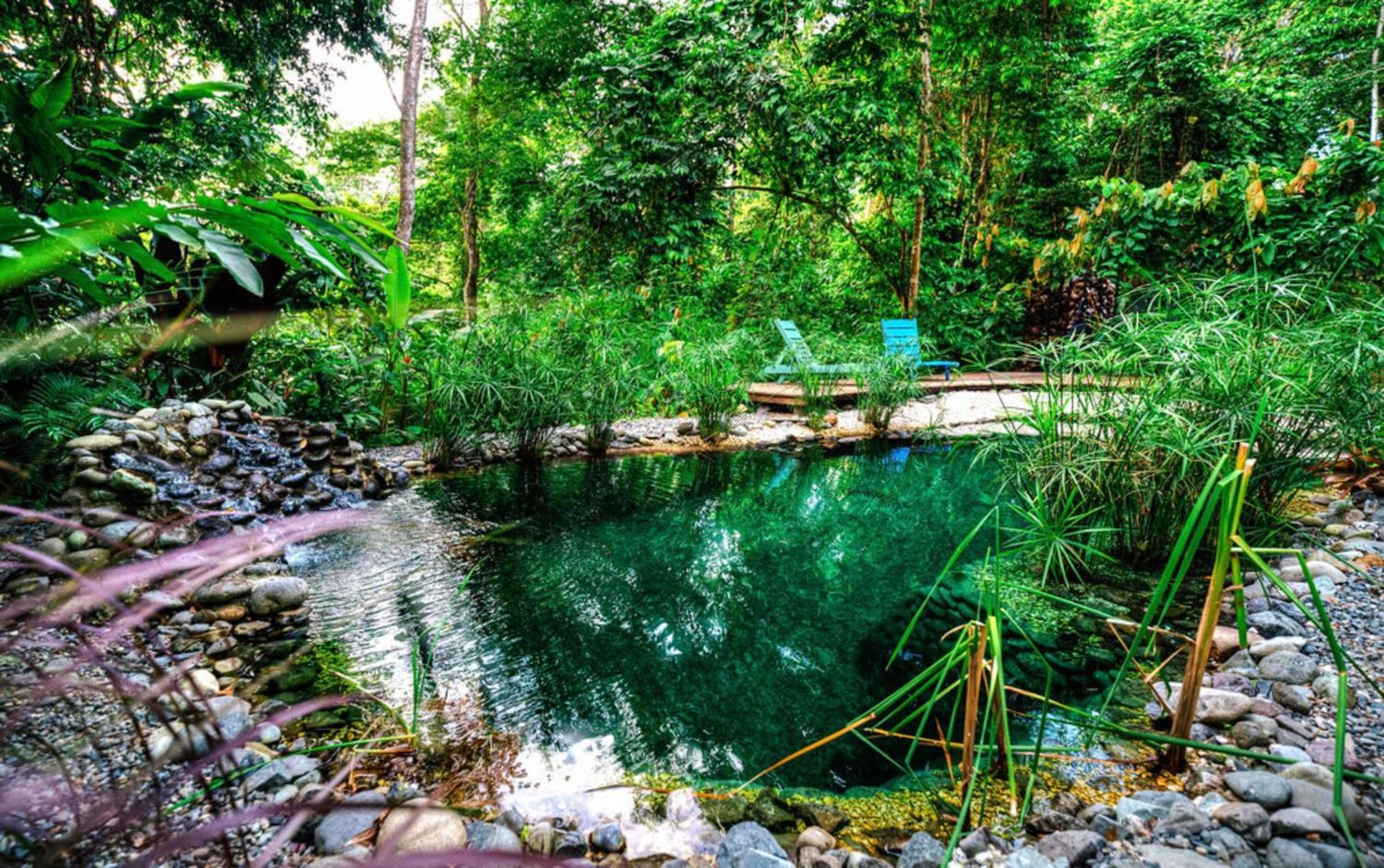 La Shamana - Ecological Concept In Jungle Villa Cahuita Exteriör bild
