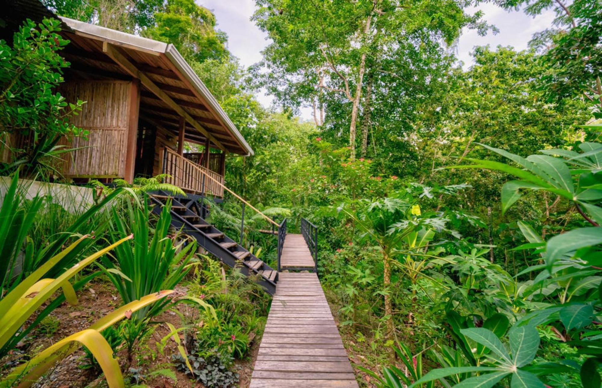 La Shamana - Ecological Concept In Jungle Villa Cahuita Rum bild