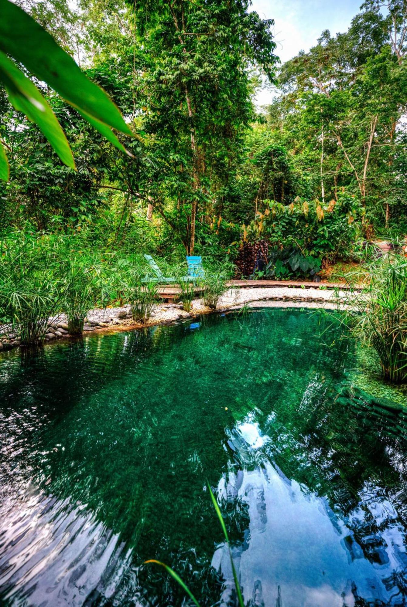 La Shamana - Ecological Concept In Jungle Villa Cahuita Exteriör bild
