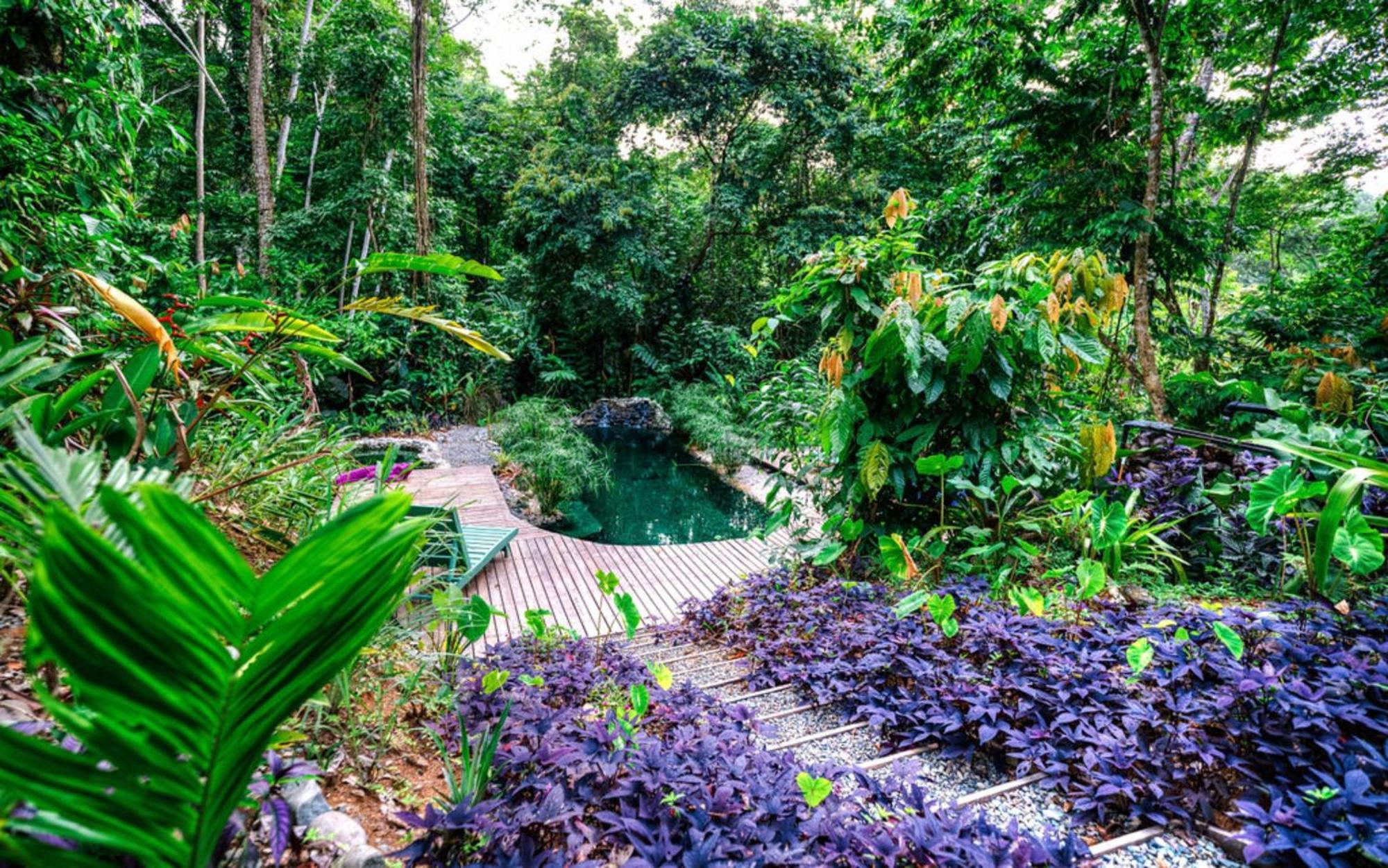 La Shamana - Ecological Concept In Jungle Villa Cahuita Exteriör bild