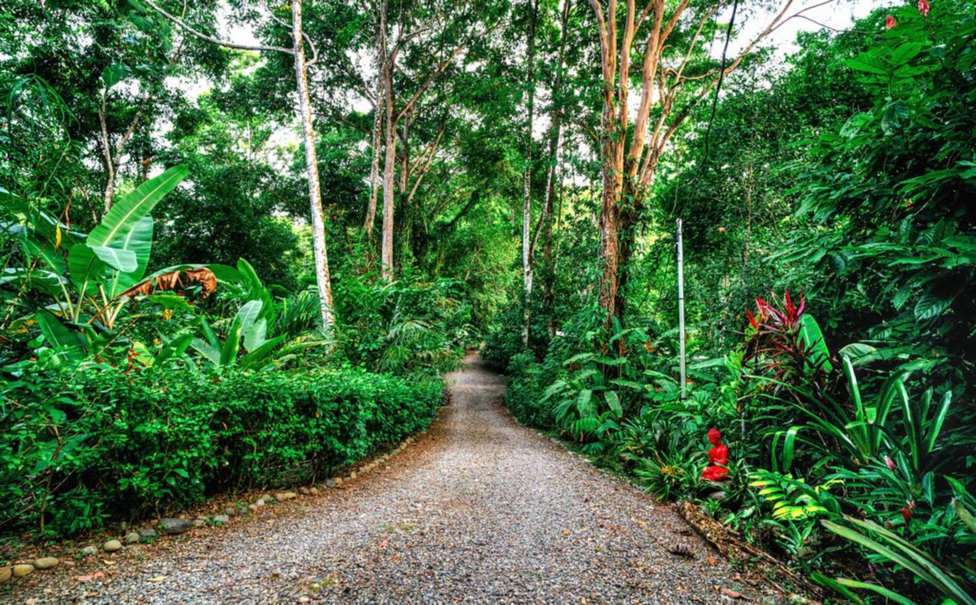 La Shamana - Ecological Concept In Jungle Villa Cahuita Exteriör bild